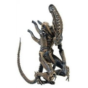 Alien Series 1 9" Deluxe Action Figure Xenomorph Warrior