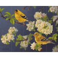 thumbnail image 1 of Tile Mural Kitchen Backsplash - Orchard Finches - by Shawn Gould, 1 of 1