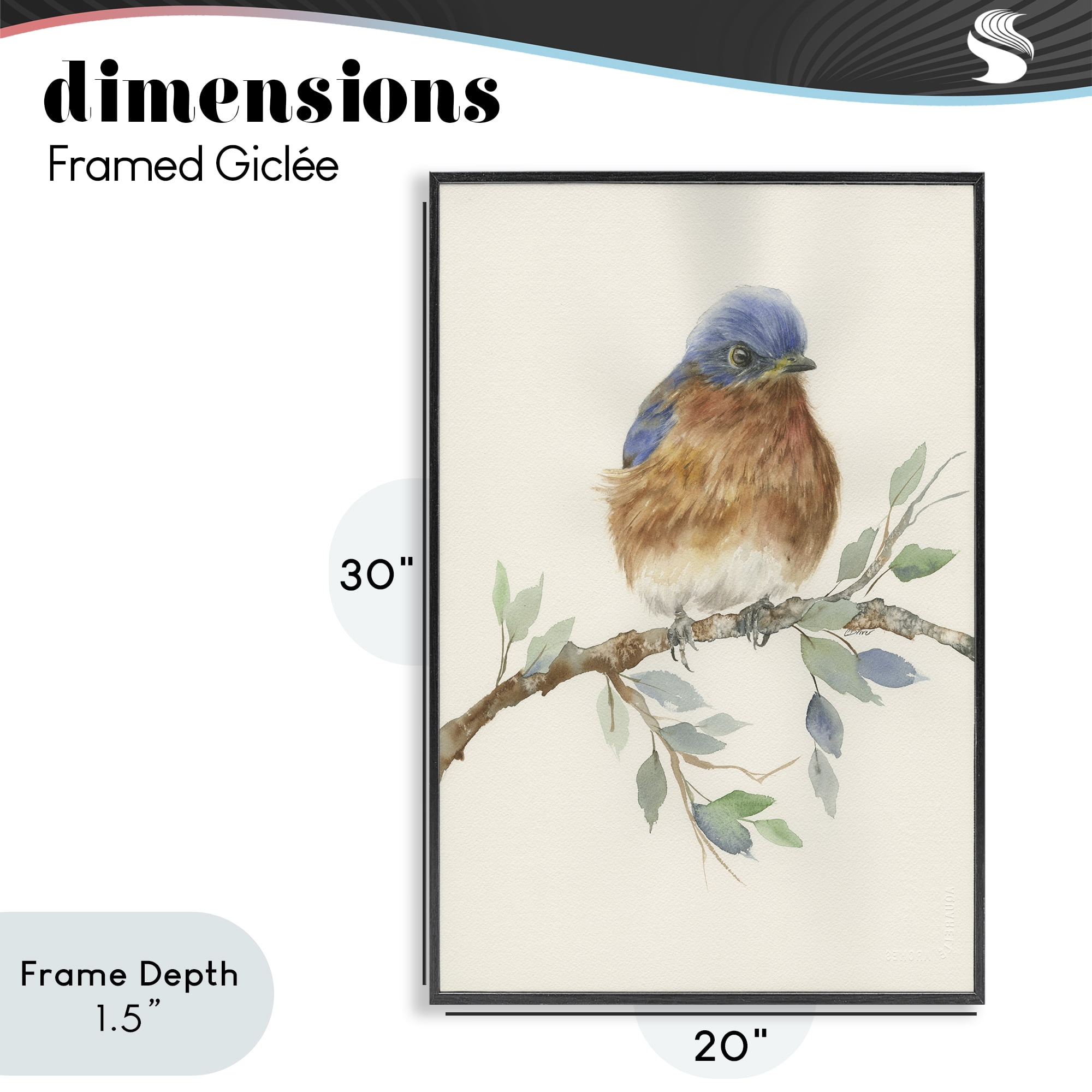 Stupell Industries Songbird Perched on Branch Black Framed Giclee Art, design by Cady Driver