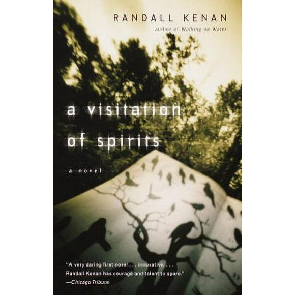 Pre-Owned A Visitation of Spirits (Paperback) 0375703977 9780375703973