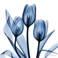 thumbnail image 3 of Koetsier, Albert 15x15 Black Modern Framed Museum Art Print Titled - Indigo Tulips, 3 of 5