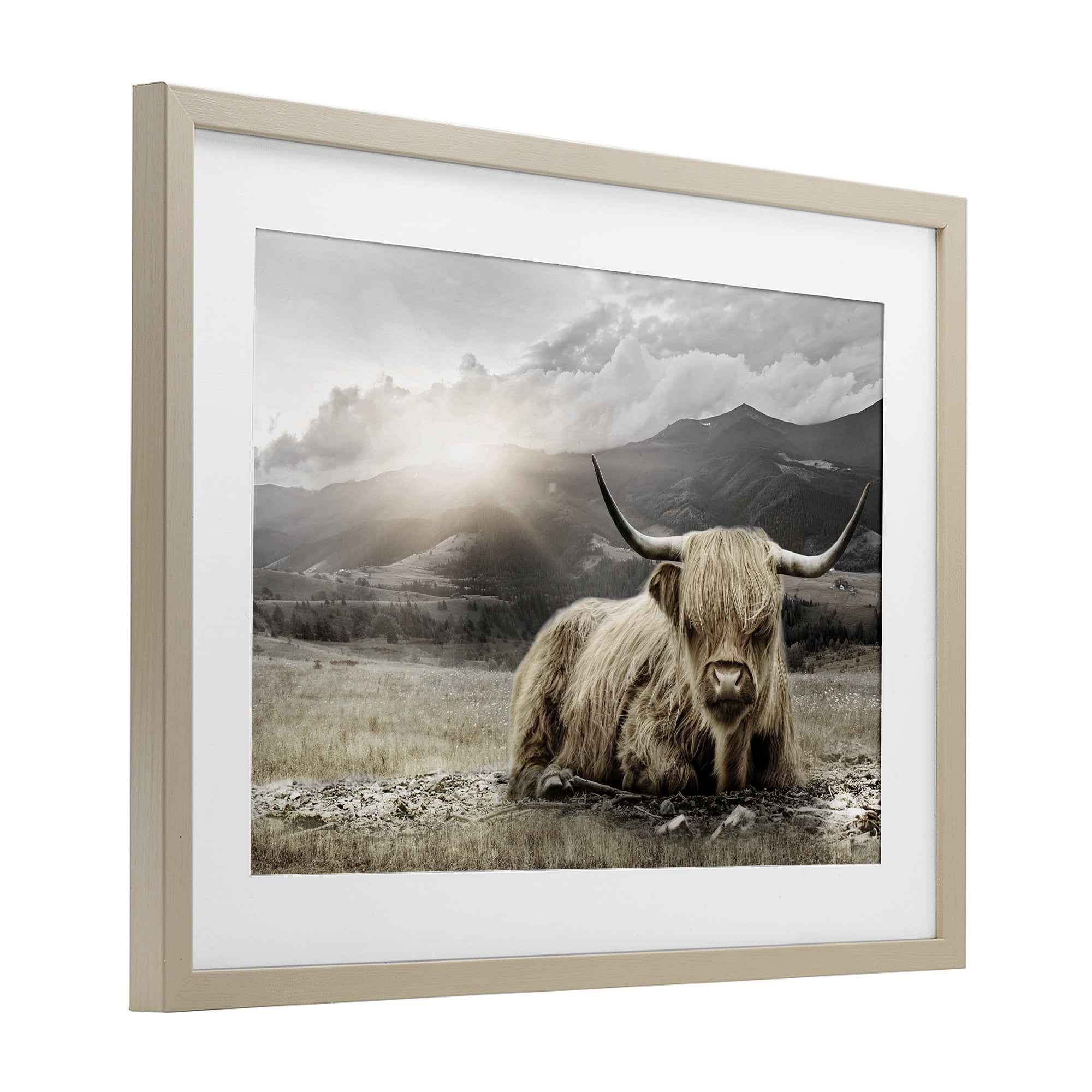 Stupell Industries Cattle Resting in Morning Sun Birch Framed Print Under Glass, design by CAD Designs