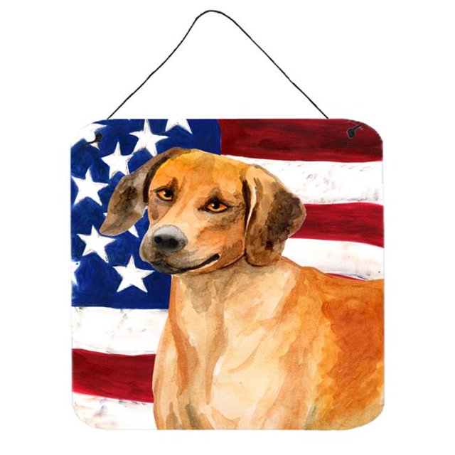 Carolines Treasures BB9676DS66 Rhodesian Ridgeback Patriotic Wall or Door Hanging Prints