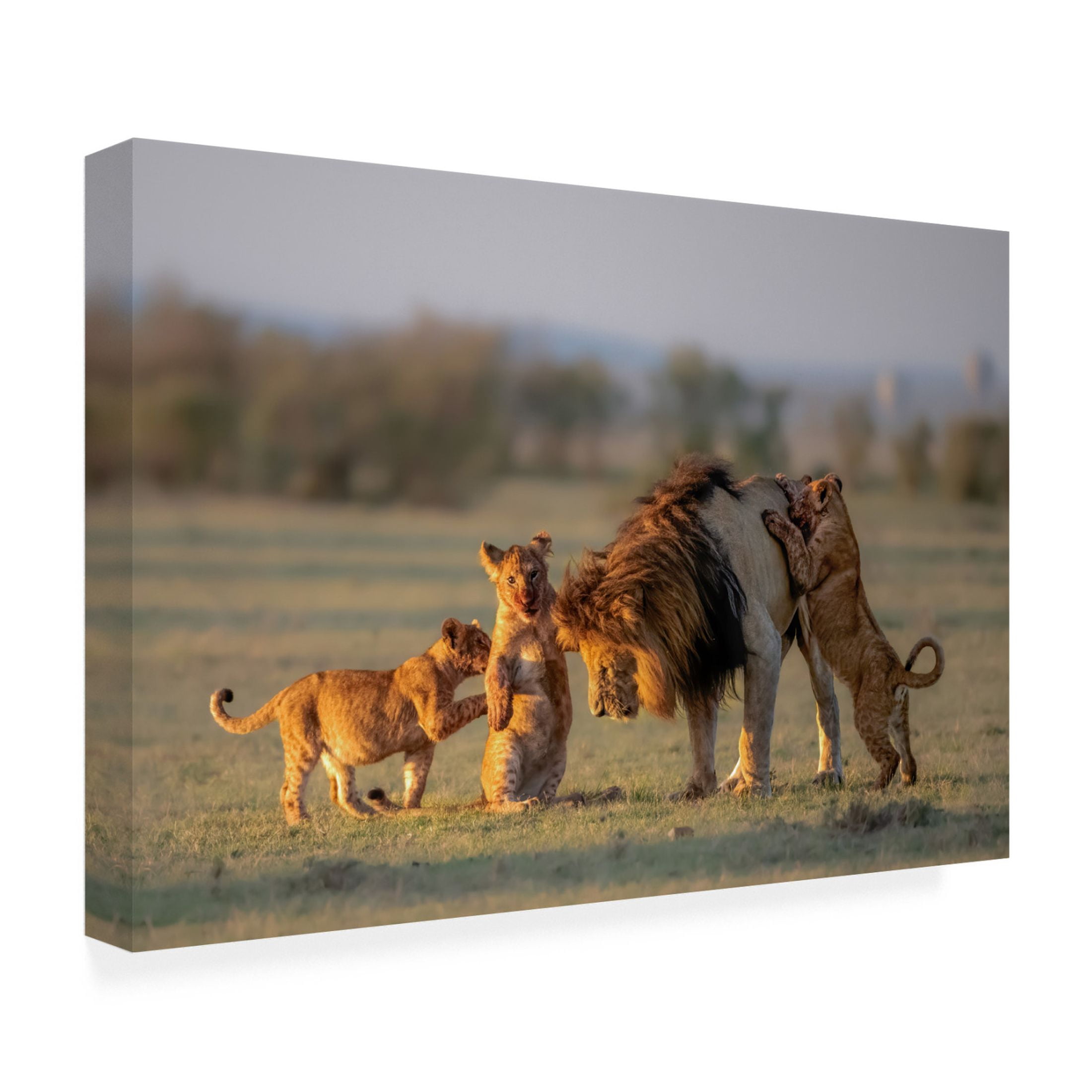 Canvas Wall Art - Min Li 'Dad And Kids' Wall Art for Living Room, Bedroom, or Office Décor by Trademark Fine Art - 24 x 16 Inches