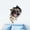 dog1, variant on Cute Cats Wall Sticker Hole View Vivid Bathroom 3D Toilet Stickers For Home Decoration Animals Decals Self-adhesive Poster