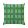 thumbnail image 1 of Ahgly Company Outdoor Square Contemporary Throw Pillow, 18 inch by 18 inch, 1 of 5