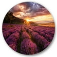 thumbnail image 2 of Designart - Sunrise & Dramatic Clouds Over Lavender Field IV - Farmhouse Metal Circle Wall Art, 2 of 5