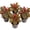 Chandelier, variant on Orange Medinilla Plant - 4 Live Starter Plants - Medinilla Scortechinii - Florist Quality Beautiful Easy Care Indoor Outdoor Tree