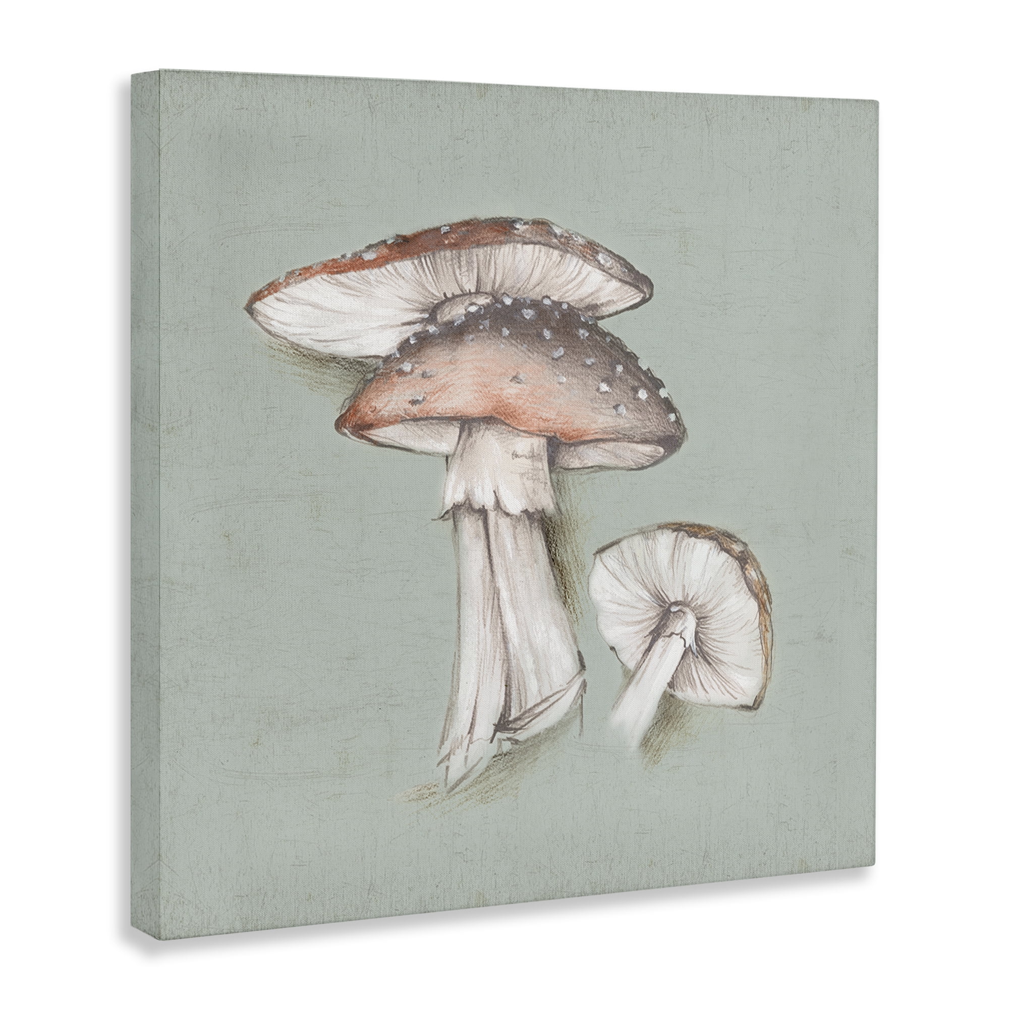 Stupell Industries Mushroom Bunch Drawing Plants & Flowers Painting Wrapped Canvas Art Print Wall Art, 36 x 36