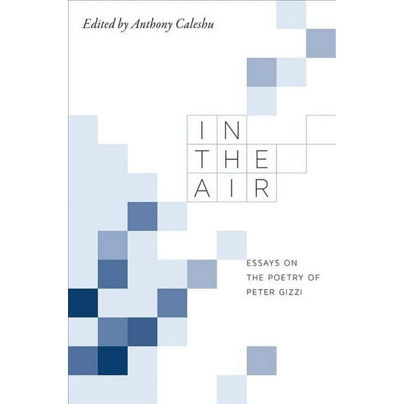 In the Air: Essays on the Poetry of Peter Gizzi (Paperback)