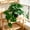 Tropical Leaf Green, variant on Pothos Indoor with Pots, Realistic Small Artificial Trailing Vines, Faux Ivy , Potted for Shelf Bathroom Office Decor, Artificial House -Tropical Leaf