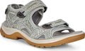 Ice Flower/Cocoa Brown Nubuck