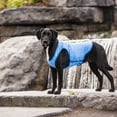 thumbnail image 6 of Gf Pet Elastofit Ice Vest (pack Of 1), 6 of 9