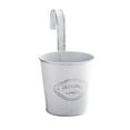 thumbnail image 1 of Pedty 1×Hook Flower Pot (Removable Hook),Hook Detachable Small Flower Pot Tin Flower Bucket Mini Balcony Flower Bucket, 1 of 1