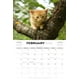thumbnail image 4 of Calendario: Cute Kittens 2026 Square Btau Blanco, 4 of 4