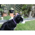 thumbnail image 5 of YUDOTE Reflective Dog Collars Large with Soft Two-Tone Webbing,Pink,Blue,Purple 3 Packs, 5 of 9