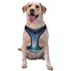 thumbnail image 1 of Fotbe Christmas Trees Arnés para Perro con Estampado –Chaleco Ajustable Acolchado con Asa de Control para Perros Grandes-Large, 1 of 6