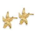 thumbnail image 2 of Primal Gold 14K Yellow Gold Starfish Earrings, 2 of 4