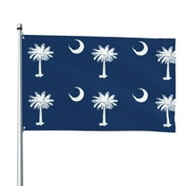 South Carolina Flag Flag 4x6 Ft Big Flag For Outdoor Indoor Office Workplace Home Garden
