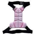 thumbnail image 2 of Cooling Vest Dog, Lightweight Heat Relief Wear, Summer Dog Harness Vest, Temperature Control Pet Gear, Breathable Cooling Jacket, for Outdoor Walking Travel Park Camping Hot Weather Use 19.5x15x1cm, 2 of 5