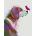 thumbnail image 3 of Fab Funky 12x14 Black Modern Framed Museum Art Print Titled - Beagle Rainbow Splash, 3 of 5