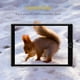 thumbnail image 1 of Mica Vidrio ESR para iPad 8 iPad 7 iPad Pro 10.5 Transparente, 1 of 9