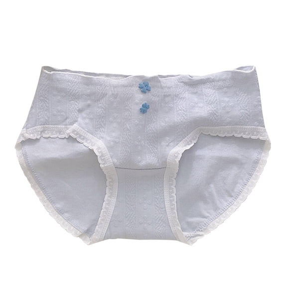 BCSIOAOI Girls Underwear,Cotton Floral Embroidery Jacquard Briefs with Lace Trim Light Blue 5-10 Years