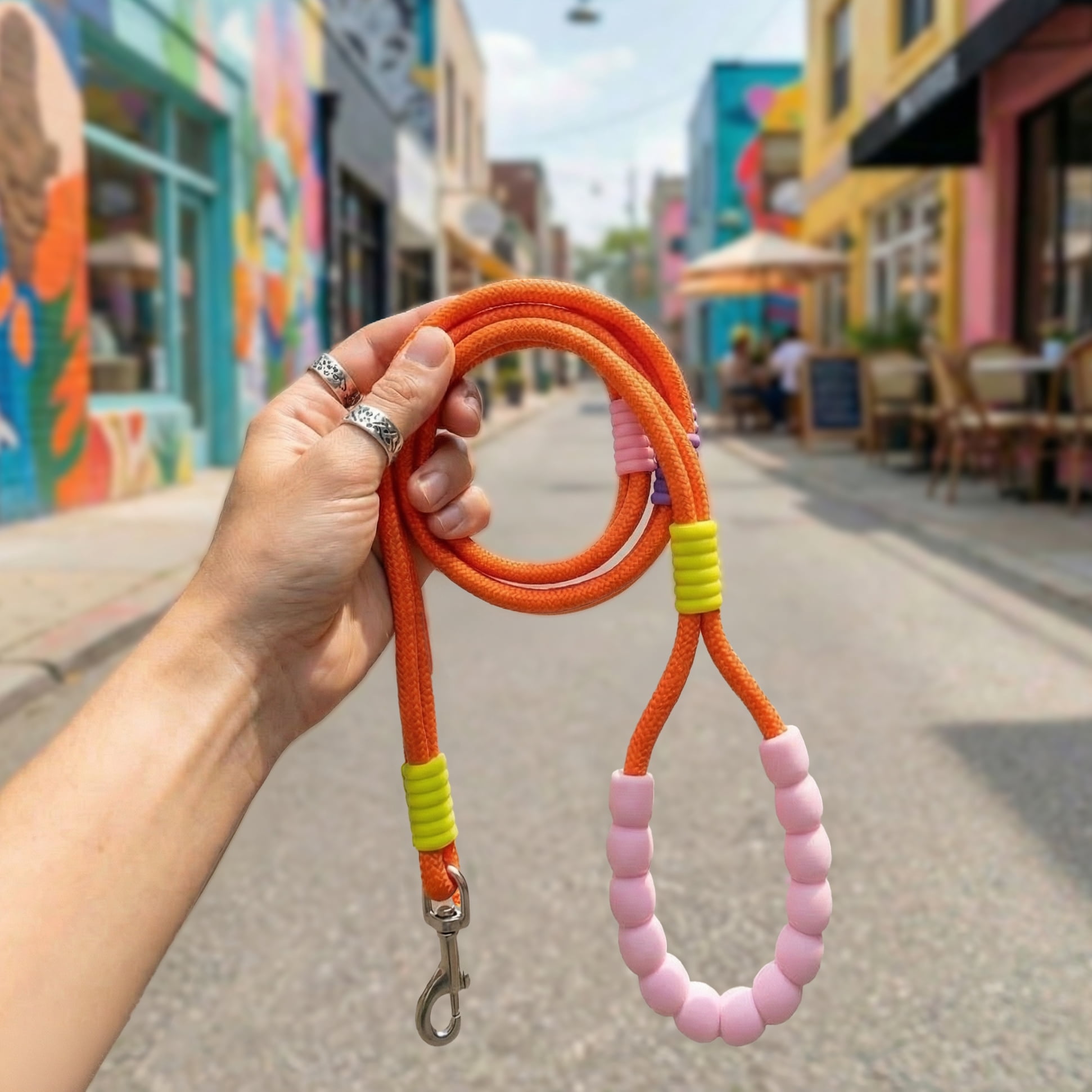 Oodles Color Wrapped 6 ft Polyester Rope Dog Leash, Multi-Colored