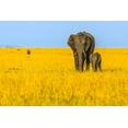thumbnail image 2 of Lake, Shelley 32x23 Gold Ornate Wood Framed with Double Matting Museum Art Print Titled - Vibrant Africa, 2 of 4