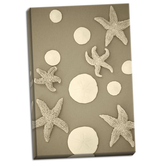 Gango Home Decor Starfish & Sand Dollars II by Karyn Millet (Ready to Hang); One 24x36in Hand-Stretched Canvas