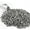 Black-Medium, variant on 2.4lb Black Rocks for Plants,  Decorative River Rocks for Succulents Cactus Garden Landscaping Outdoor, Mexican Beach Pebbles Aquarium Rocks Gravel for Fish Tank Terrarium