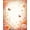 Peach, Pattern 2, variant on ODIKA 4'x6' Machine Washable Non-Slip Area Rug, Enchanting Bloom for Charming Interiors High Traffic Rug, Peach, 156129