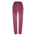thumbnail image 6 of Women's Plus Size Velour Velvet Jogger Sweatpants Elastic Waist Jogger Solid Velour Sweatpants with Pocket S-XXL, Blue/Pink/Purple, 6 of 7