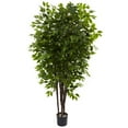 thumbnail image 1 of Nearly Natural 5402 Deluxe Ficus Tree, 6.5-Feet, Green, 1 of 5
