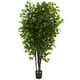 Nearly Natural 5402 Ficus Tree de Luxe, 6,5 Pieds, Vert – image 1 sur 5