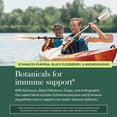 thumbnail image 5 of Gaia Herbs Quick Defense - Fast-Acting Immune Support Supplement* - Echinacea, Black Elderberry, Ginger & Andrographis - 20 Vegan Liquid Phyto-Caps (10 Servings), 5 of 9