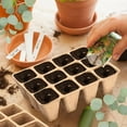 thumbnail image 3 of Xiao Hua 20 Pcs Seed Starter Pots Germination Seedling Pots Plant Starter Trays 6.5 x 4.72 x 1.77 Inches Cell Pot for Vegetables Herbs, 3 of 4