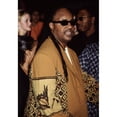 thumbnail image 2 of Stevie Wonder At Premiere Of Bamboozled, Ny 10.2.00, By Cj Contino Celebrity (16 x 20), 2 of 2