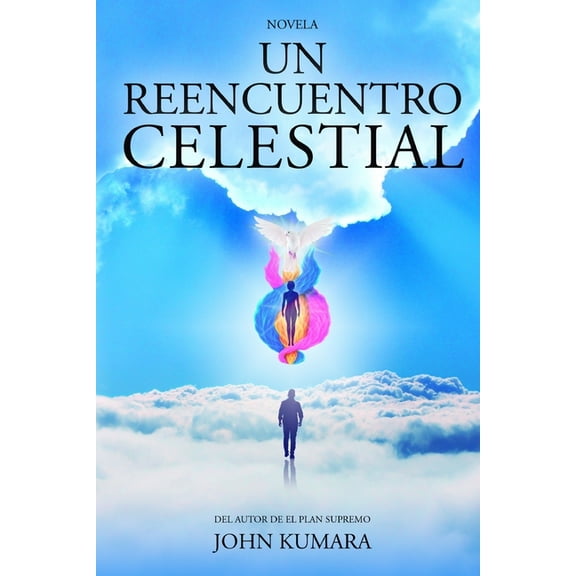 Un reencuentro celestial (Paperback)