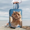 thumbnail image 5 of Cauagu Playful Cat Fisheye View Print Travel Luggage Cover,Travel Dust-proof Suitcase Cover Softside Suitcase Protector for 18-32inch,Not Included Suitcase, 5 of 8