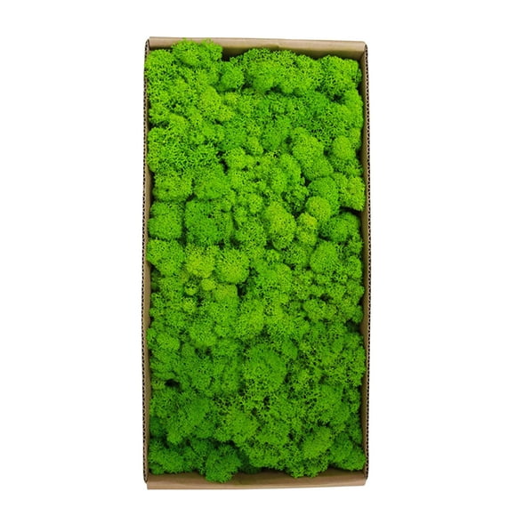 Preserved Moss Wall Decor Real Preserved Moss No Maintenance Required Naturally Preserved Moss for Home Wall Party Festivals Crafts Xmas Indoor Office Decoration