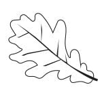 SHAPES ETC. Incentive Stamp - Oak Leaf