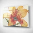 thumbnail image 2 of Epic Art 'Blooming Lily' by Tim O'Toole, Acrylic Glass Wall Art, 24"x16", 2 of 3