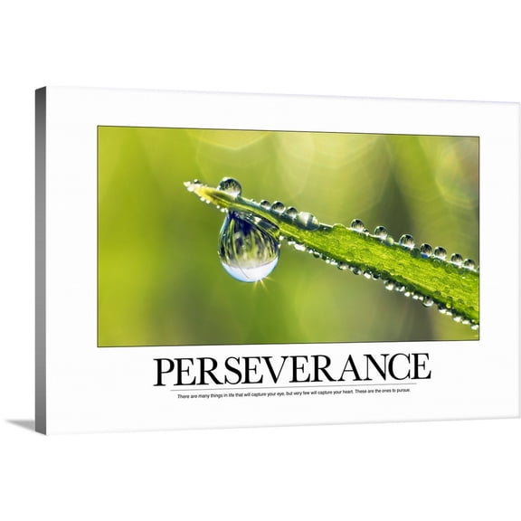 Great BIG Canvas | "Inspirational Poster: There are many things in life that will capture your eye" Canvas Wall Art - 30x20