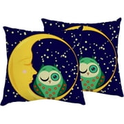 Wellsay Square 2 Pieces Pillowcases Cute Sleeping Owl in Moon Circles Zippered Throw Pillow Case Cushion Pillow Covers Protectors for Home Car Decoration 16x16in