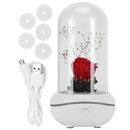 

2024 LED Fragrance Lamp Essential Oil Aroma Diffuser Night Light Bedroom Desktop Decoration