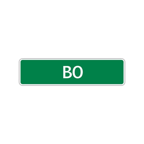 Bo Boys Children Name Letter Printed Plaque Decoration Label Indoor Outdoor Unique Wall Novelty Aluminum Metal Sign 4"x18"