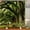 ndhd8536, variant on Forest Landscape Shower Curtain Garden 3D Green Plant Tree Natural Scenery Waterproof Polyester Bathroom Curtain Home Decor