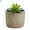 Style#3, variant on Visland 10 cm Artificial Mini Succulent in Cement Pot