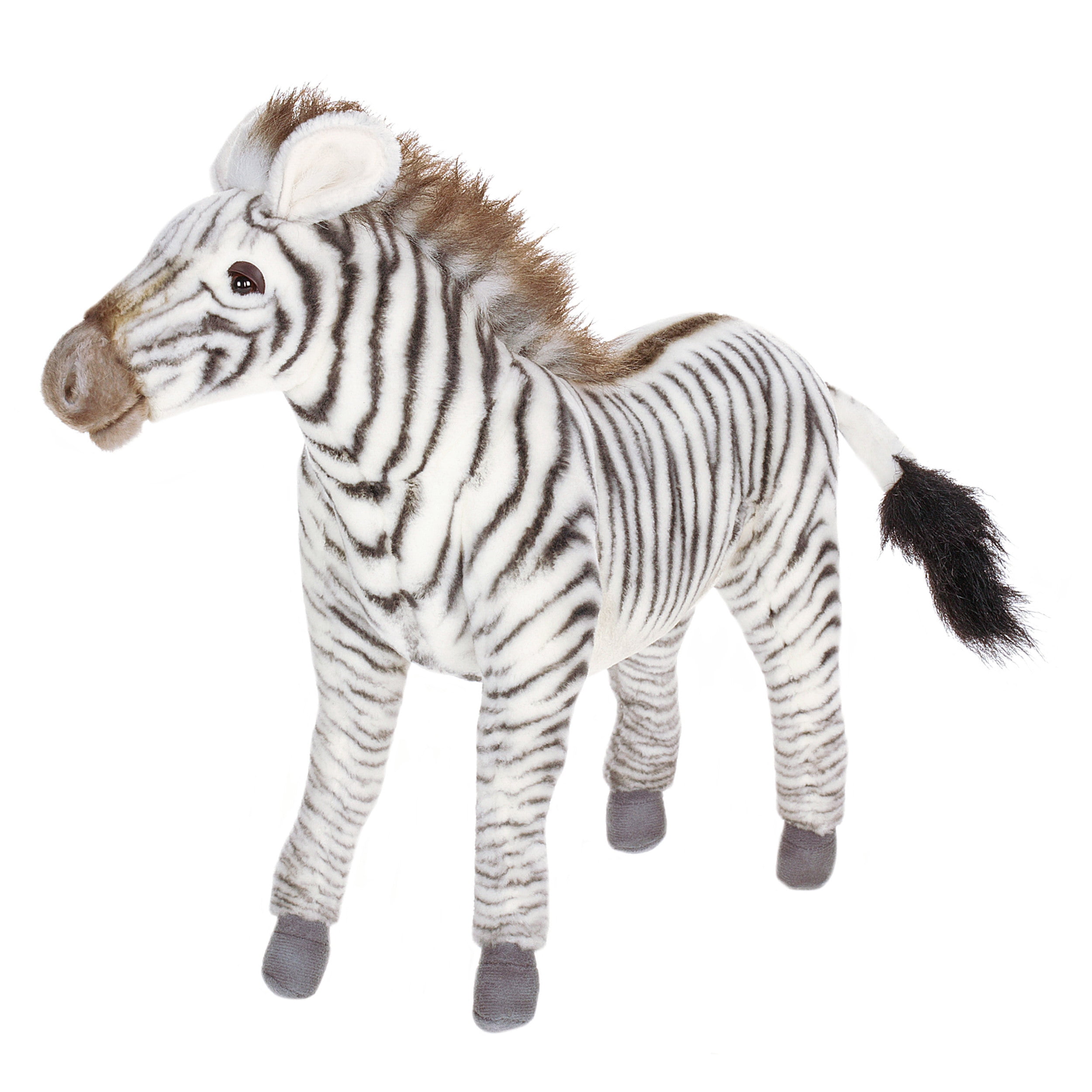 hansa zebra